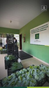A Secretaria de Agricultura e os pequenos agricultores trabalham juntos para garantir alimentos frescos e seguros para a…