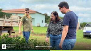 Secretaria de Agricultura entrega 800 mudas de cítricos e 700 de banana para for…
