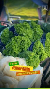 Sextou com sabor especial na Feira Itinerante da Agricultura Familiar!
Queremos …