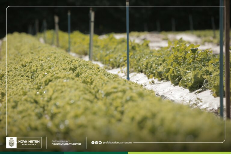 Prefeitura lança chamada pública para fortalecer a agricultura familiar e a alim…