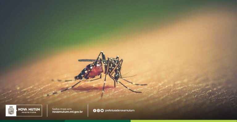 Município enfrenta aumento nas notificações de dengue e chikungunya

Até o momen…