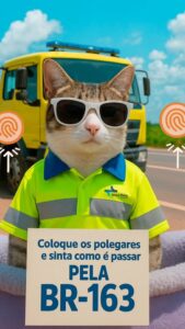 E aí? Sentiu como é passar pela BR-163? 

O gatinho conferiu e aprovou: rodovia …