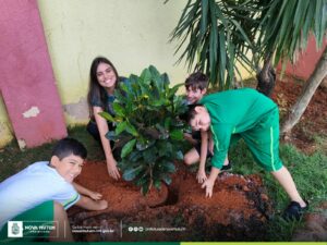 Revitalização dos jardins escolares em Nova Mutum conquista a participação ativa…