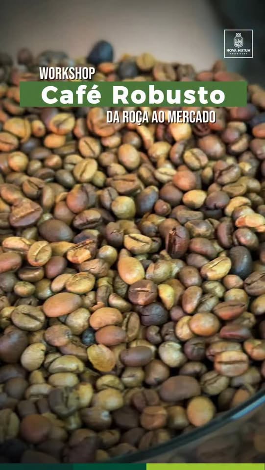 Workshop “Café Robusto: Da Roça ao Mercado” – Realizado com Sucesso!

Nesta qui…