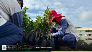Programa ‘Mais Verde Mais Alimento’ é regulamentado e fortalece ações ambientais…