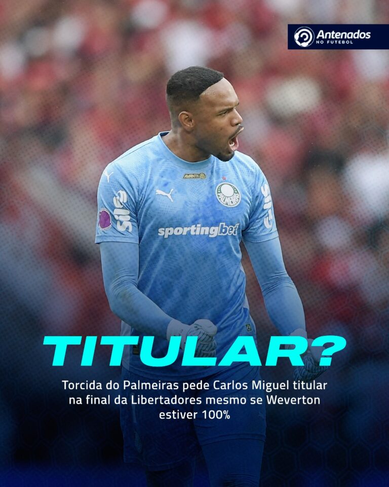 Indecisão no gol do Palmeiras: hora de mudança?

Mesmo com Weverton recuperando…