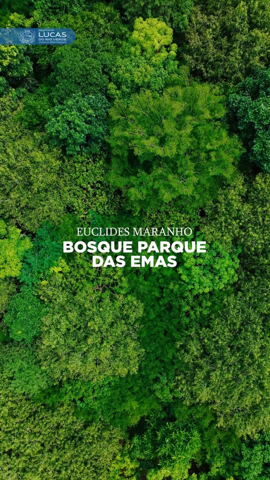 E se cada um de nós fizesse um pouquinho? 

O Seu Euclides, morador do Parque da…