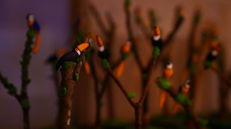 Prefeitura de Nova Mutum 在相册上传了照片：RECITAL CASA DA CULTURA