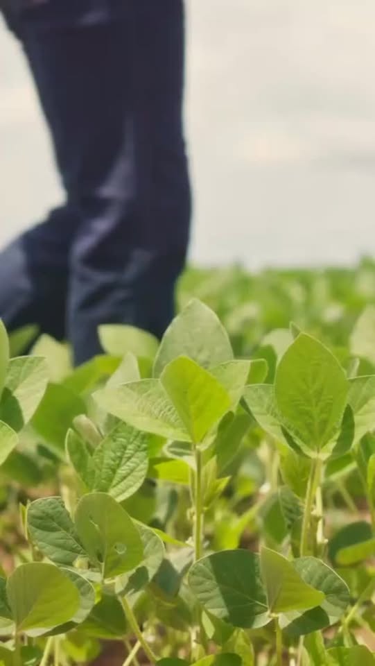 Hoje a Nova Rota fez história.

Foram mais 130 km de pista nova duplicada entre…