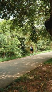 E se a rodovia virasse pista de corrida?

No dia 8 de fevereiro, a Rodovia dos …