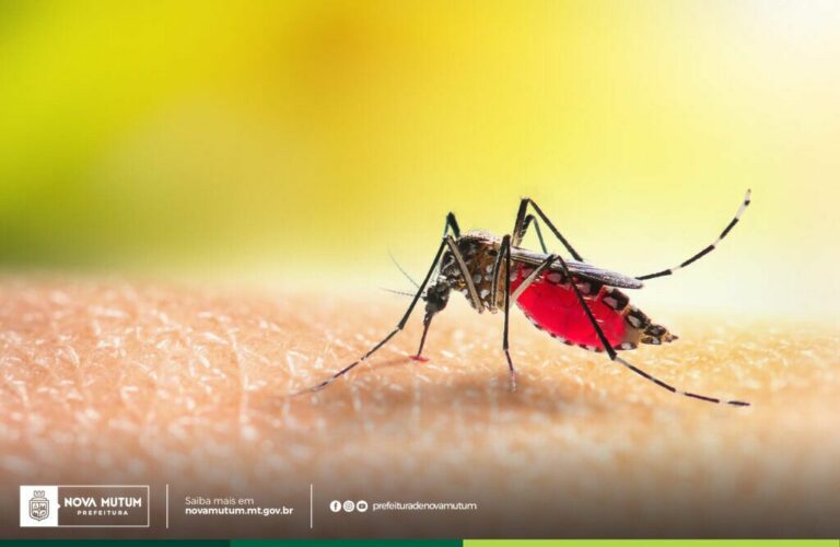 Prefeitura de Nova Mutum emite alerta sobre aumento de casos de dengue

Mais de …