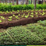 Produtores rurais são convidados a contribuir com o Plano Municipal da Agricultu…