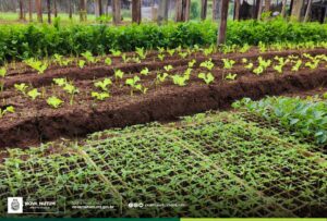 Produtores rurais são convidados a contribuir com o Plano Municipal da Agricultu…