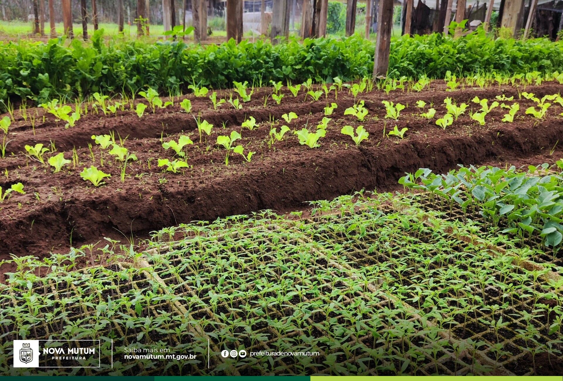 Produtores rurais são convidados a contribuir com o Plano Municipal da Agricultu…