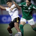 ÚLTIMOS FINALISTAS DO PAULISTÃO FORA DOS 4 GRANDES:

2026: Novorizontino
2023: Á…