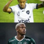 SEM COMEMORAÇÃO! Danilo marcou pelo Botafogo, mas não comemorou em respeito ao …